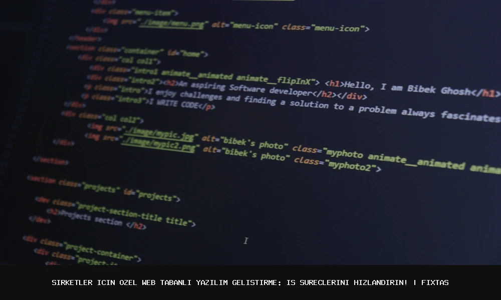 Unlocking Efficiency: Expert Custom Web-Based Software Development for Your Business