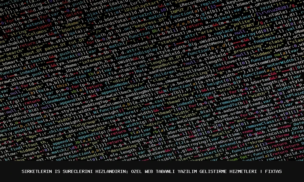 Accelerate Business Processes with Tailored Web-Based Software Solutions
